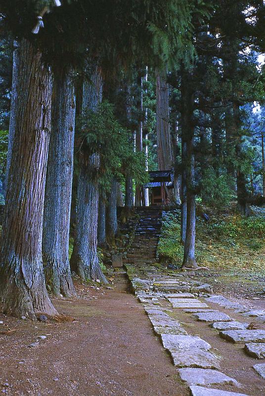 1952 Japan 208 Nikko.jpg